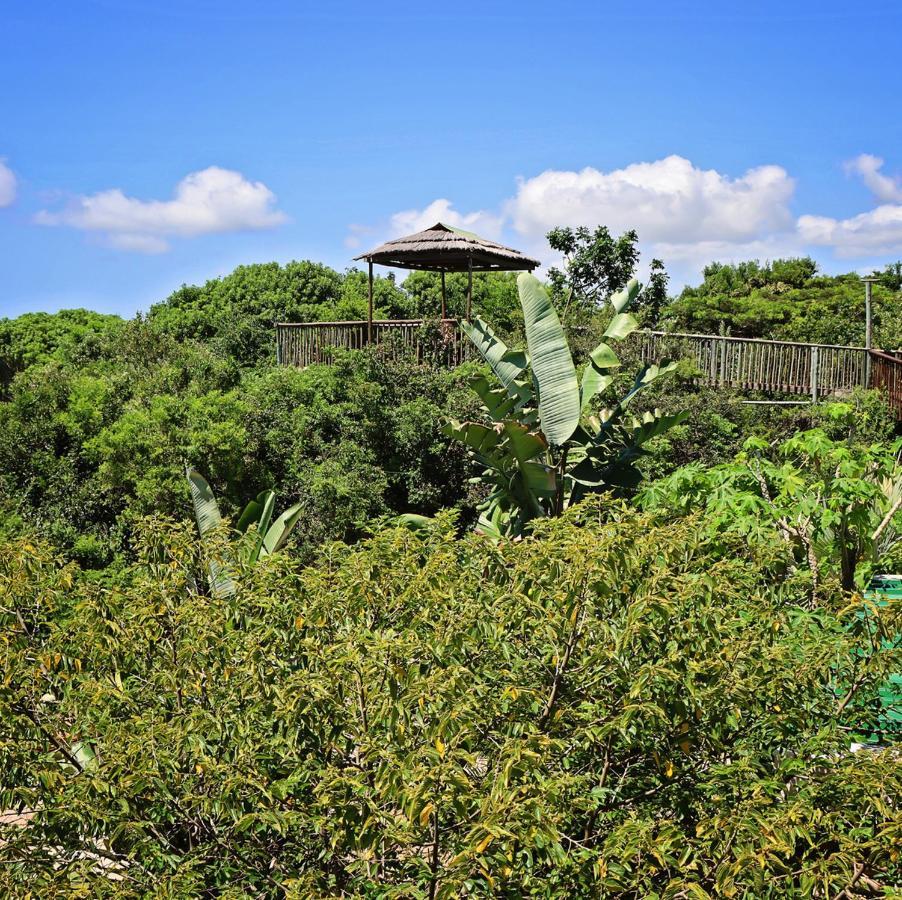 Kosi Bay Lodge Manguzi ภายนอก รูปภาพ