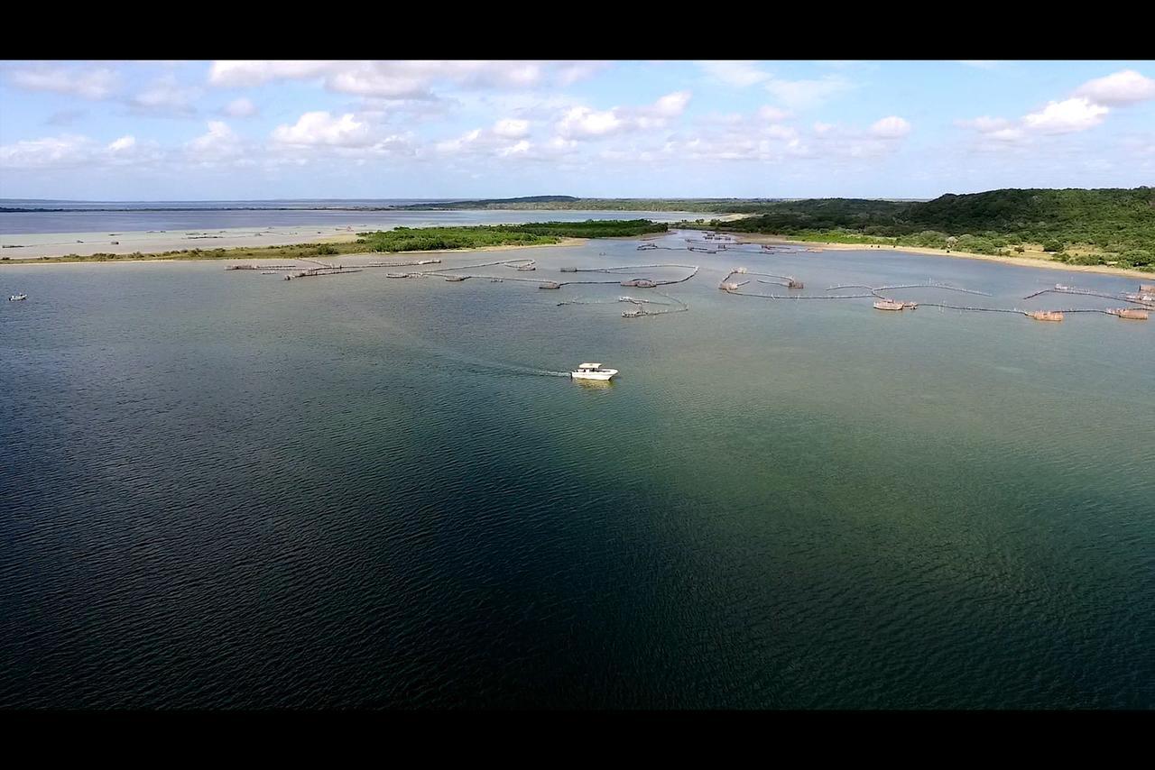 Kosi Bay Lodge Manguzi ภายนอก รูปภาพ