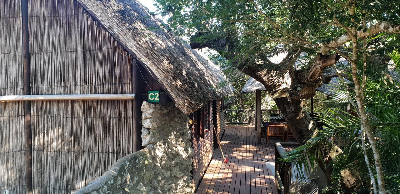Kosi Bay Lodge Manguzi ภายนอก รูปภาพ
